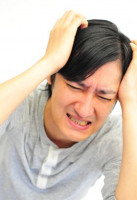 d̔Y݁BncōECӐEȔjYElĐ